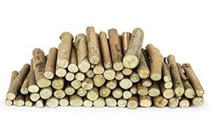 CRAFTPLAY Wooden branch stumps | 250 gram pack (Approximately 60 stumps) | Natural crafts