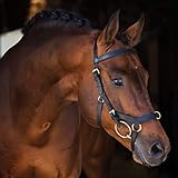 Da weder auf Gesichtsnerven noch auf das Genick Druck ausgeübt wird, fühlt sich ihr Pferd mit einem Rambo Micklem Deluxe Competition Bridle ausgesprochen wohl. Zusätzlich werden Schäden des Mauls durch Aufbeißen vermieden, Ihr Pferd wird es ihnen Danken.