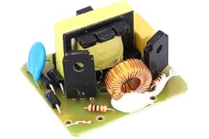 FTVOGUE Alimentatore inverter CC-CA da 40 W 12V a 220V Trasformatore di incremento del modulo boost Scheda buck-boost