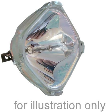IWASAKI Replacement Bulb for EPSON ELPLP14