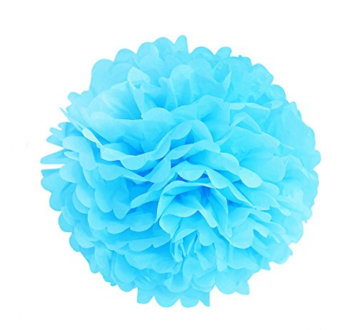 SUNBEAUTY 10er Set 20cm farbige Seidenpapier Blumen PomPoms Ball Party Geburtstag Feier Dekoration - 5