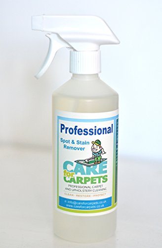 Professional Kit, Multipurpose Spot and Stain Remover Spray, 500 mL ...