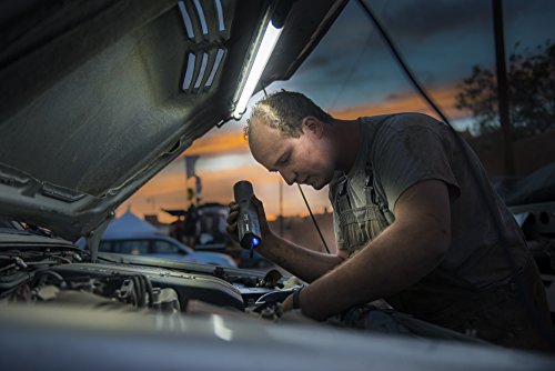 Philips LPL24X1 LED-Motorhaubenleuchte CBL50 mit Kabel - 4