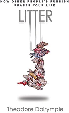 Litter: How Other People's Rubbish Shapes Our Lives: How other people's rubbish shapes your life
