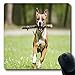 Price comparison product image Mousepads Fun Stafford Wildlife Active Nature Oblong Shape 7.9 x 9.5 Inches Oblong Gaming Mouse Pad Nonslip Rubber Mat