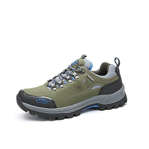 « Click to Enlarge and to go to Amazon »