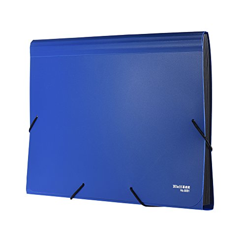 Carpeta expandible aibecy  tama  o A4 Legal Carta  13 bolsillos  para clasificar  organizar  cubierta para documentos de Impuestos  factura declaraciones  informes  pruebas  color verde  color azul