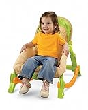 Fisher-Price Newborn-To-Toddler Portable Rocker, Lizards – Babywippe/Schaukelstuhl – aus USA - 7