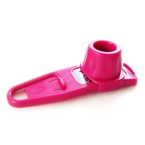 QHGstore K¨¹chenartikel Haushalt Multi-Funktions-M¨¹hle K¨¹che Knoblauchreibe rot