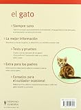 Image de El gato/ The Cat