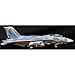 Produktbild F-14A Tomcat NSAWC U.S. Navy Colorful Cat Fallon NAS, Sky Guardians 5038. M 1:72
