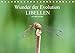 Produktbild Wunder der Evolution Libellen (Tischkalender 2019 DIN A5 quer): Sie gehören zu den ältesten Insekten unseres Planeten. (Monatskalender, 14 Seiten ) (CALVENDO Tiere)