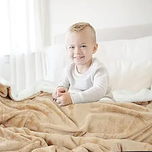BSB HOME Baby Boys and Baby Girls Luxury Flannel Sherpa All Season/Heavy Winter Blanket/Wrapping Baby Sheet for Babies/Kids (Light Brown, 0-5 Years, 45x60 inches)