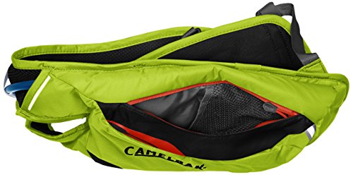 Camelbak 2015 Dart 1.5L Hydroguard Behälter Lauf Ergonomischer Rucksack - 5