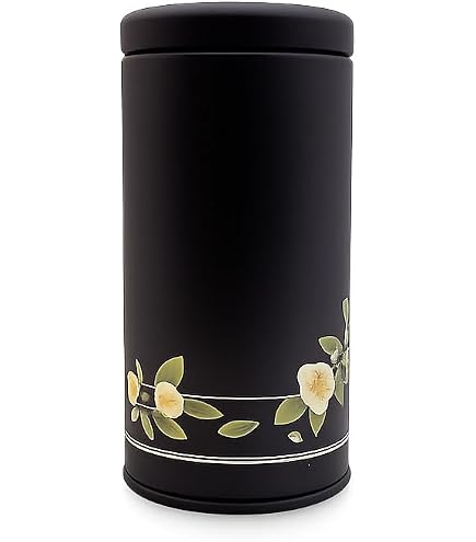 Purely Home Recipiente de almacenamiento de matcha – Regalos de matcha verde para amantes del té y bebedores – Tapa de clip de metal plateado para cocina, tarro de almacenamiento de bebidas Purely Home Recipiente de almacenamiento de matcha – Regalos de matcha verde para amantes del té y bebedores – Tapa de clip de metal plateado para cocina, tarro de almacenamiento de bebidas
