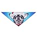 Produktbild EIN Kleiner Hund mit Einem Weihnachtshut Dog Bandana Lätzchen Puppy Cat Head Scarf Accessories