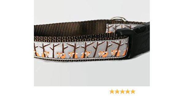 fall themed dog collars
