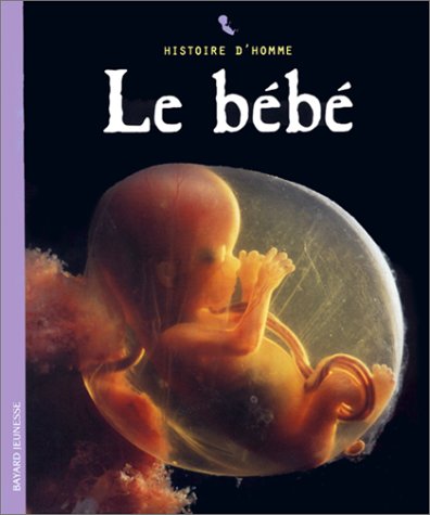 couverture de : Le b&eacute;b&eacute;