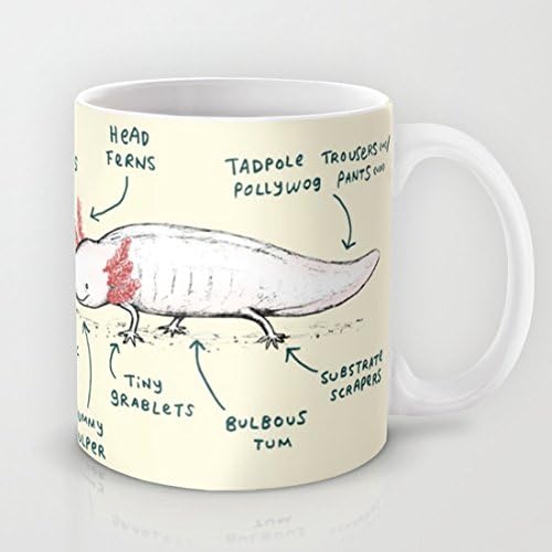 QoiueoF Anatomy of an Axolotl White Mugs - 11 ounces