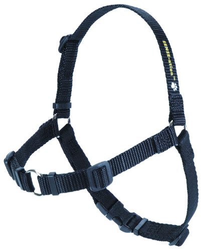 Softouch Sense-ation Harness Training / antitrones Soft S Purple