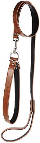 LOVPE Genuine Leather 2 in 1 Dog Collar &amp; Leash Lead for Small Medium &amp; Large dogs [Training Running Walking Hiking] [Collar adjustment range 0 - 18.5 inch] (Brown)