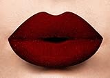 LASplash Studio Shine Waterproof Lip Lustre (Matte) - Lady