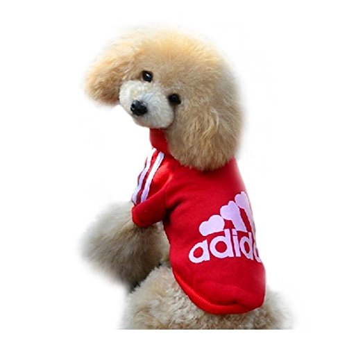 Ducomi Adidog - Sudadera con Capucha para Perros en Algodón Suave - Costuras Resistentes - Disponibles de XS a 8XL - Se envía Desde España (5XL, Rojo)