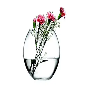 Aakriti Glass Flower Vase (8 inch, Clear)