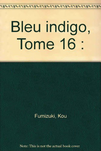 Bleu indigo - Ai Yori Aoshi — Tome 16