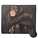 Produktbild Mouse Pad Lifelike Chimpanzee Oil Painting Rectangle Rubber Mousepad 8.66 X 7.09 Inch Gaming Mouse Pad with Black Lock Edge