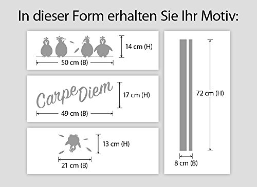 Wandaro W3346 Wandtattoo Carpe Diem + Vögel passend für IKEA HEMNES Kommode azurblau - 3