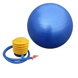 Wolblix Anti-Burst Exercise Ball Yoga Ball with Hand Pump Gym Fitness Ball (Color May Vary)