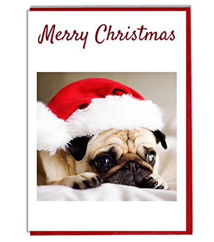 AKGifts - Biglietto di auguri di Natale, motivo: cane carlino con berretto da Babbo Natale, formato A5, colore: avorio