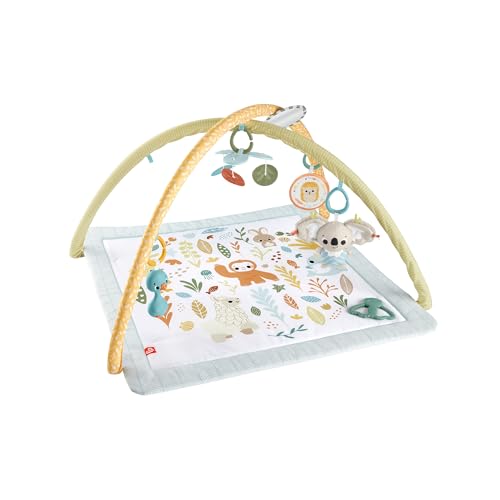 Fisher-Price - Palestrina multisensoriale per neonati, tappetino con arco e 6 giochi portatili e sensoriali inclusi, tra cui sonaglini e dentaruoli, giocattolo per bambini, 0+ mesi, HRB15