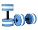 Price comparison product image Leegoal(TM) 1 Pair Water Aerobic Exercise Foam Dumbbells Pool Resistance, Water Fitness Exercises Equipment for Weight Loss,Blue
