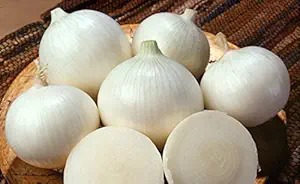 Creative Farmer Vegetable Seeds Onion/Kanda Seeds (Black) Seeds - Onion White Seeds Home Garden Seeds