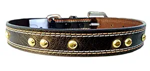 Petlia letherite Collar Belt for Dog Medium