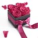 Produktbild Rosen Box Flowerbox Poesie en Roses 4 konservierte Rosen haltbar 3 Jahre / 8,5x8,5 cm/Blumenbox/Rosenstrauß/Blumengruß verschicken von ROSEMARIE SCHULZ Heidelberg (Pink)
