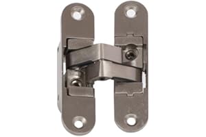 Bisagras invisibles para puerta de 40 kg izquierda Klose besser X2