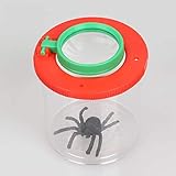 ✔ Wenn Sie sich nicht trauen, den Bug zu berühren, können Sie ihn in dieses kleine Kästchen stecken, und lassen Sie sich von oben und von der Seite aufmerksam beobachten, und das ist sehr sicher. Aufgrund der Vergrößerung der konvexen Linse und der Reflexion des Planspiegels wird die Beobachtung interessanter