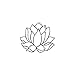 Tattify Simple Lotus Flower Temporary Tattoo - Two Weeks Lotus (Set of 2)