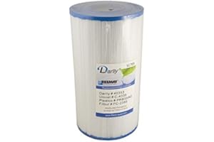 Darlly Filtre Spa (40353 / C-4335 / PRB35-IN/FC-2385) - Conditionnement Filtre - A l'unité