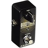 TC ELECTRONIC BODY REZ