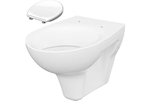 HGMBAD Wall-Mounted Toilet Including Seat with Soft-Close Mechanism