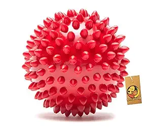 Foodie Puppies Spike Hard Ball Rubber Stud for Dogs & Pets, Medium- Color May Vary