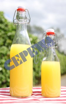 Preisvergleich Produktbild Bügelflasche "rund"