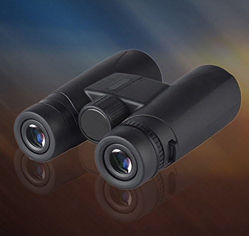 GULEEK10x42 HD Professional Traveler Waterproof and Fogproof Wide-field Binoculars for Outdoor Birdwatching with HD BaK-4 Roof Prism and 316 FT / 1000 YD Field of View Telescope, Black