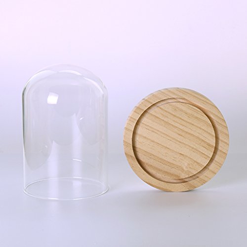 MagiDeal Garten Deko Transparente Glasglocke Glashaube Glassturz mit Holzboden für Pflanzen Blumen - 9