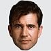 Produktbild Mel Gibson (Young) Maske aus Karton