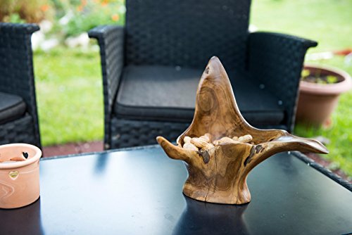 WINDALF Rustikale Holz Schale ~ FENJA ~ h: 19 cm – Handgearbeitet – vielseitig verwendbar – Wurzelholz (s190) - 2